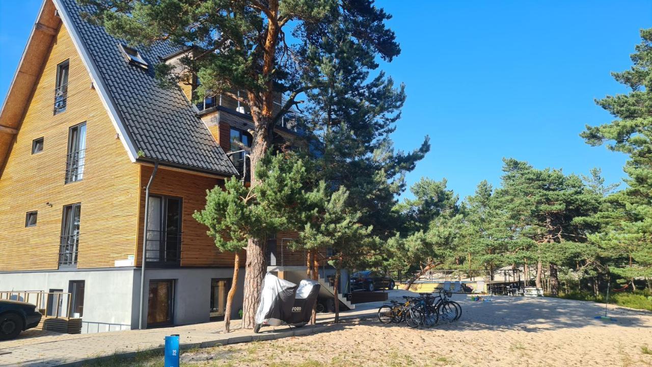 Na Wydmach. Spokoj. Cisza. Las Dookola Hel Exterior foto