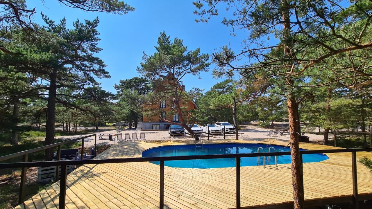 Na Wydmach. Spokoj. Cisza. Las Dookola Hel Exterior foto