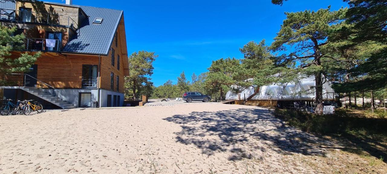 Na Wydmach. Spokoj. Cisza. Las Dookola Hel Exterior foto
