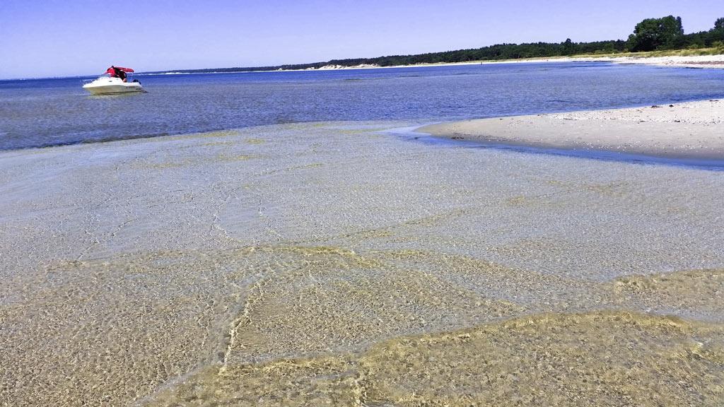 Na Wydmach. Spokoj. Cisza. Las Dookola Hel Exterior foto