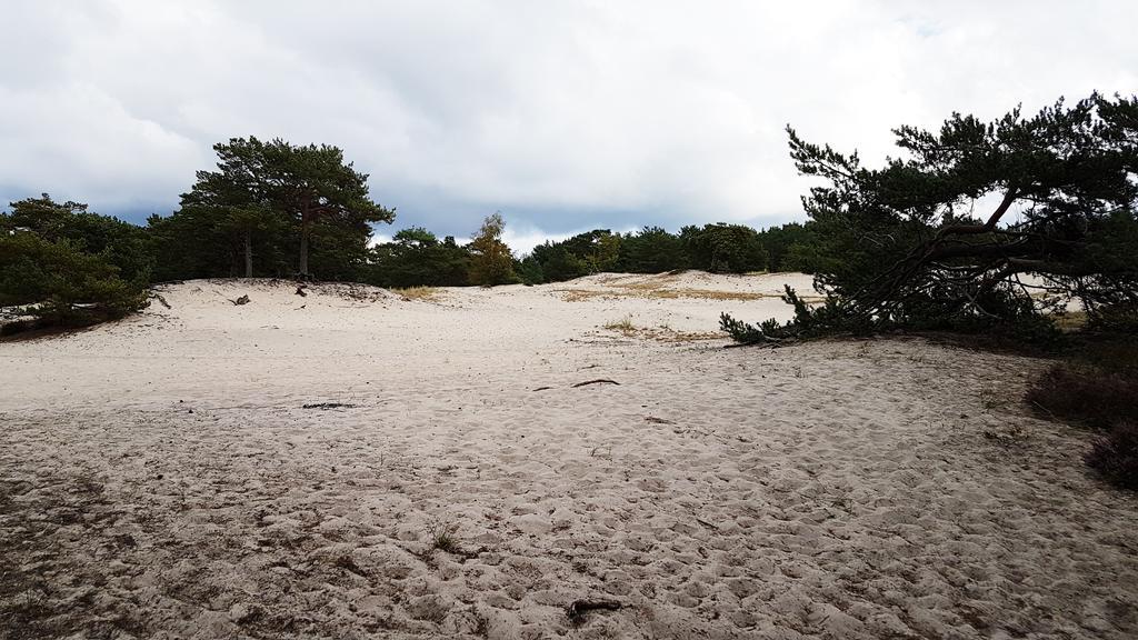 Na Wydmach. Spokoj. Cisza. Las Dookola Hel Exterior foto