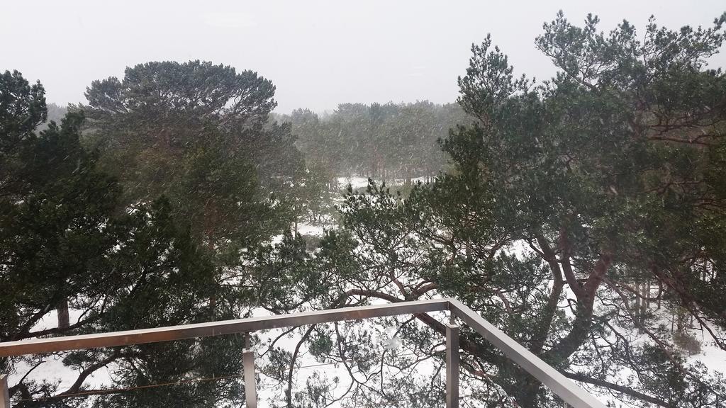Na Wydmach. Spokoj. Cisza. Las Dookola Hel Exterior foto