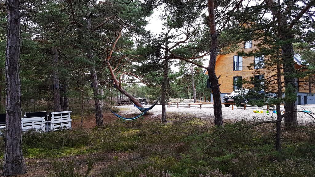 Na Wydmach. Spokoj. Cisza. Las Dookola Hel Exterior foto